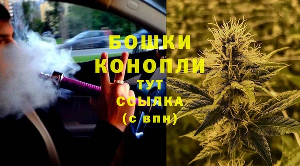 дживик Абаза
