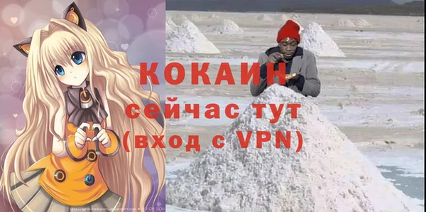 дживик Абаза